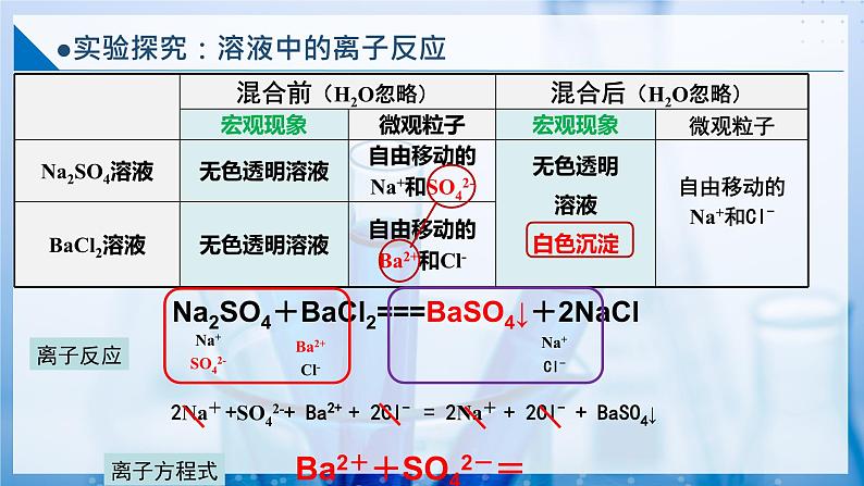 2.2.4 离子反应 离子方程式的书写（同步课件）第8页