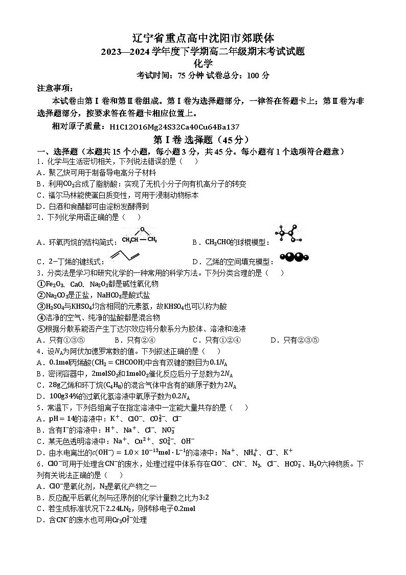 辽宁省重点高中沈阳市郊联体2023-2024学年高二下学期7月期末考试化学试题（含答案）01