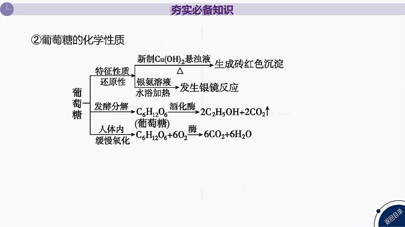 课件  高考化学一轮复习第十单元   有机化合物   第44讲　生物大分子　合成高分子07