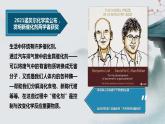 2.1.3  化学反应速率（第3课时 活化能）（课件精讲）2024-2025 学年高二化学同步课件精讲（人教版2019选择性必修1）