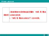 第四章  第十五讲　铝、镁、铜及其化合物-2025年高考化学一轮总复习课件
