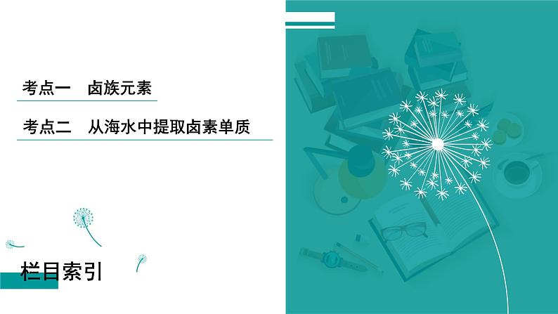 第五章  第十八讲　卤族元素　溴、碘的提取-2025年高考化学一轮总复习课件第3页