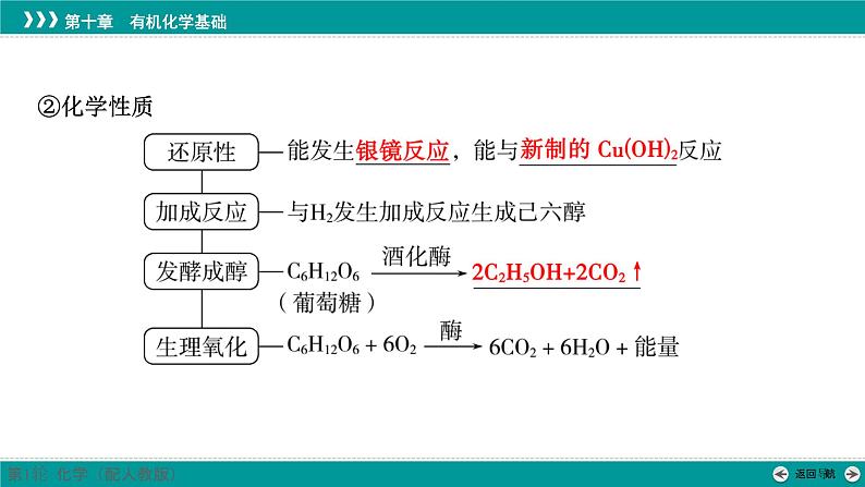 第十章  第52讲　生物大分子　合成高分子-2025年高考化学一轮总复习课件07