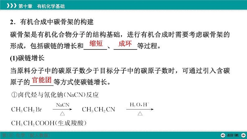 第十章  第53讲　有机合成及合成路线的设计-2025年高考化学一轮总复习课件第5页