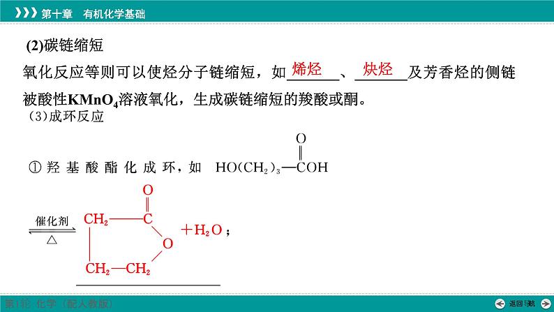 第十章  第53讲　有机合成及合成路线的设计-2025年高考化学一轮总复习课件第7页