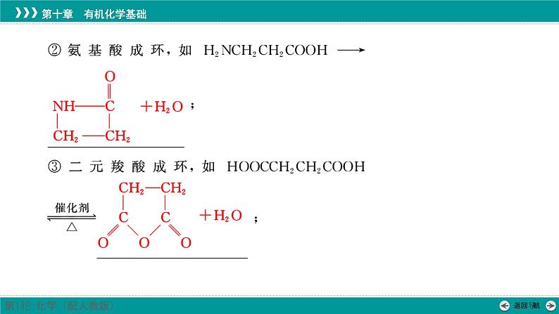 第十章  第53讲　有机合成及合成路线的设计-2025年高考化学一轮总复习课件第8页