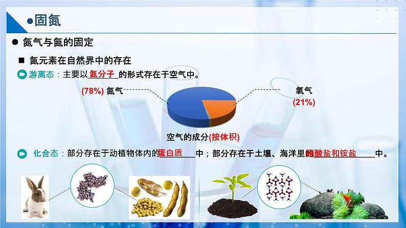 【沪科版】化学必修一  3.2 氮及其重要化合物 固氮（课件+练习）05