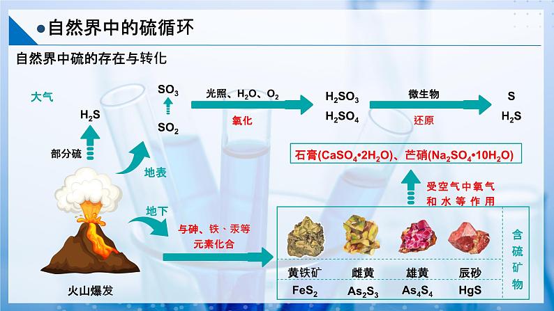 【沪科版】化学必修一  3.3 硫循环和氮循环 自然界中的硫循环（课件+练习）04