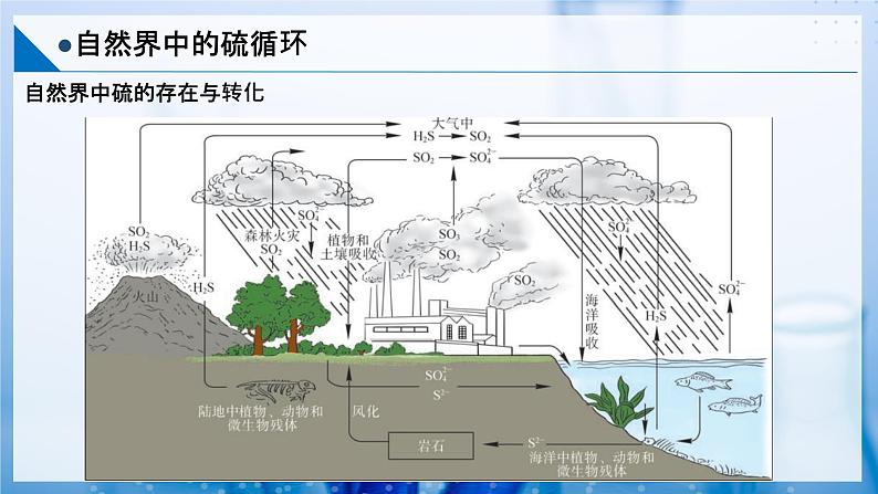 【沪科版】化学必修一  3.3 硫循环和氮循环 自然界中的硫循环（课件+练习）05