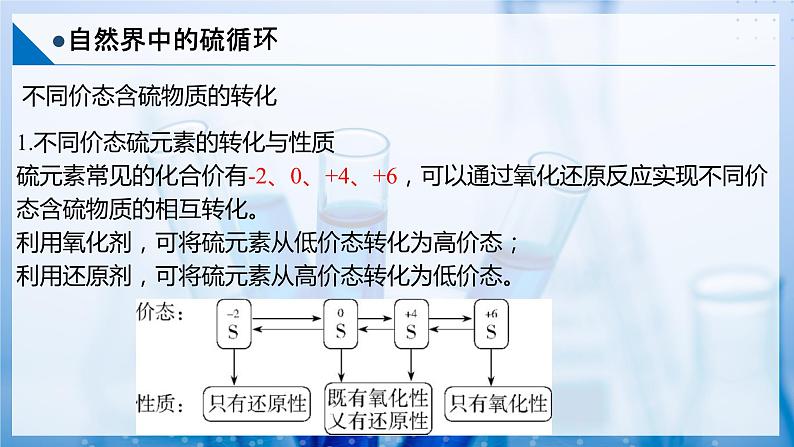 【沪科版】化学必修一  3.3 硫循环和氮循环 自然界中的硫循环（课件+练习）06