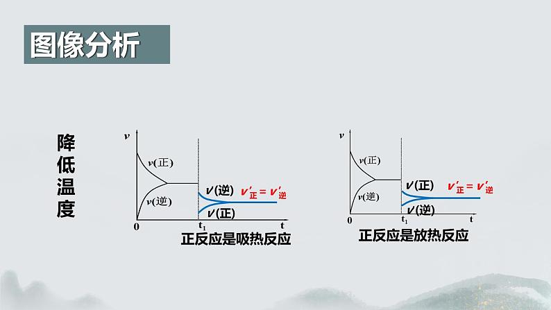 2.2.4  化学平衡(第4课时 影响化学平衡的因素)（课件精讲）2024-2025学年高二化学同步课件精讲（人教版2019选择性必修1）06