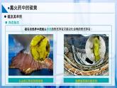 【沪科版】化学必修一  3.1 硫及其重要化合物 黑火药中的硫磺（课件+练习）
