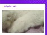 【同步課件】人教版2019高中化學必修一2.3.1 物質(zhì)的量&摩爾質(zhì)量課件