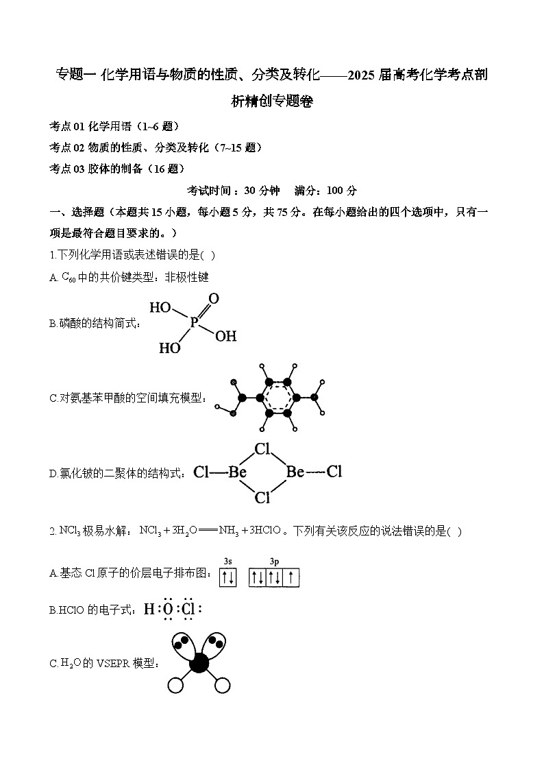 专题一 化学用语与物质的性质、分类及转化—2025届高考化学考点剖析第1页