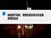 第二章　第一节　第1课时　活泼的金属单质——钠-人教版高一化学必修一课件（含练习）