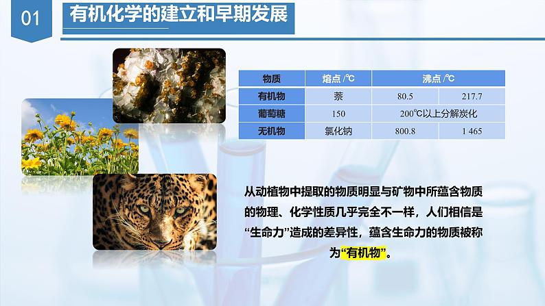 1.1 有机化学的建立与发展（教学课件）   第6页