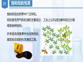 沪科版化学选择性必修三  2.1 脂肪烃（课件+分层练习）