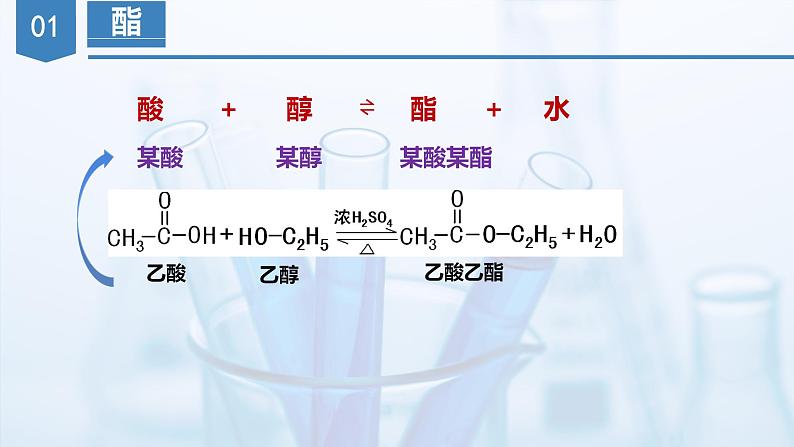 3.3.2羧酸及其衍生物（第2课时 酯与酰胺）（课件）第7页