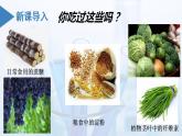 沪科版化学选择性必修三  4.1.1 糖类（课件+分层练习）