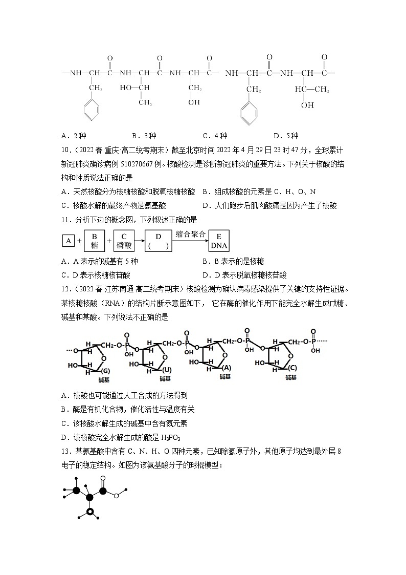 沪科版化学选择性必修三  4.1.2 氨基酸与蛋白质 （课件+分层练习）03