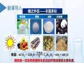 沪科版化学选择性必修三  4.1.2 氨基酸与蛋白质 （课件+分层练习）