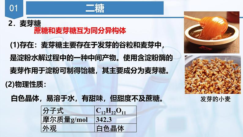 沪科版化学选择性必修三  4.1.2 氨基酸与蛋白质 （课件+分层练习）07