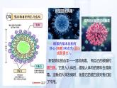沪科版化学选择性必修三  4.1.3  核酸（教学课件）
