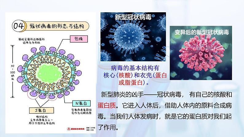 沪科版化学选择性必修三  4.1.3  核酸（教学课件）03