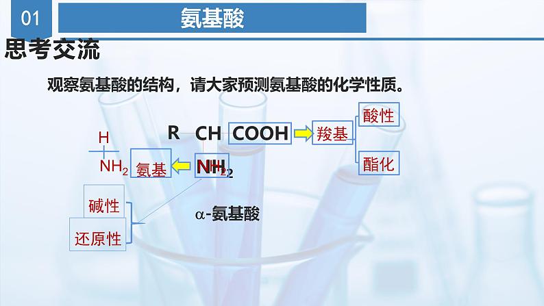 沪科版化学选择性必修三  4.1.3  核酸（教学课件）07