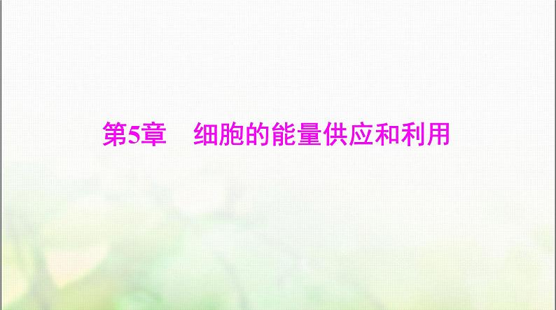 高考生物一轮复习必修1第5章第1、2节降低化学反应活化能的酶、细胞的能量“货币”ATP课件01