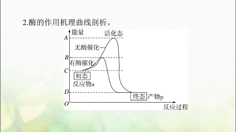 高考生物一轮复习必修1第5章第1、2节降低化学反应活化能的酶、细胞的能量“货币”ATP课件08