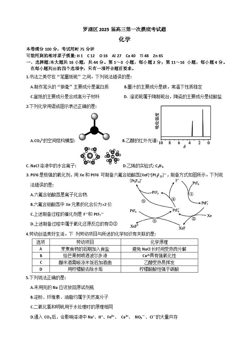 2025深圳罗湖区高三上学期第一次摸底考试化学试卷含答案01