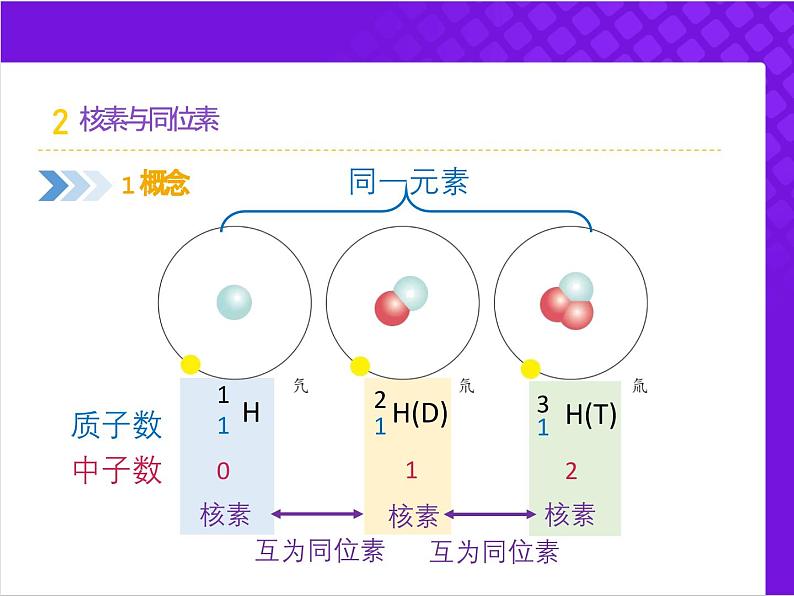 【同步课件】人教版2019高中化学必修一4.1.2核素和同位素05