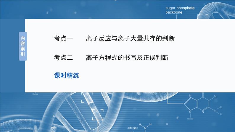 2025年高考化学大一轮大单元一　第一章　第二讲　离子反应　离子方程式（课件+讲义+练习）05