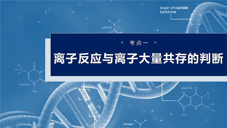 2025年高考化学大一轮大单元一　第一章　第二讲　离子反应　离子方程式（课件+讲义+练习）06