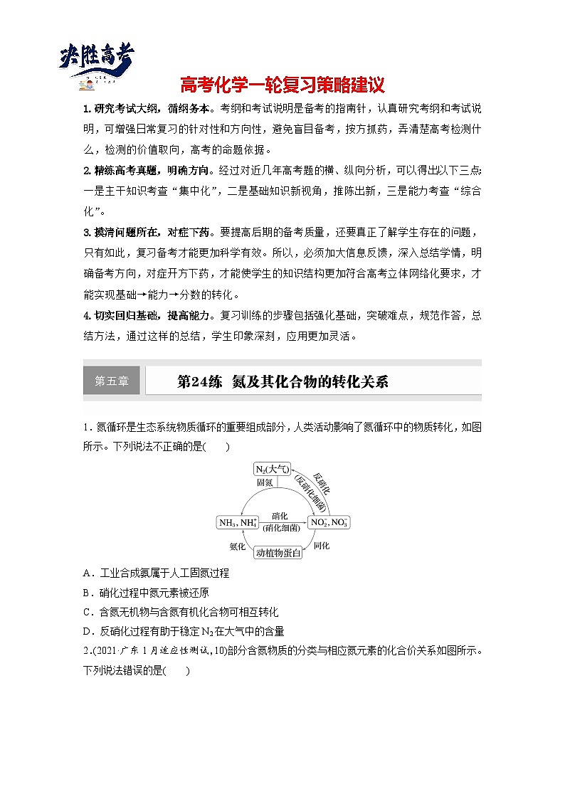 2025年高考化学大一轮大单元二　第五章　第二十四讲　氮及其化合物的转化关系（课件+讲义+练习）01