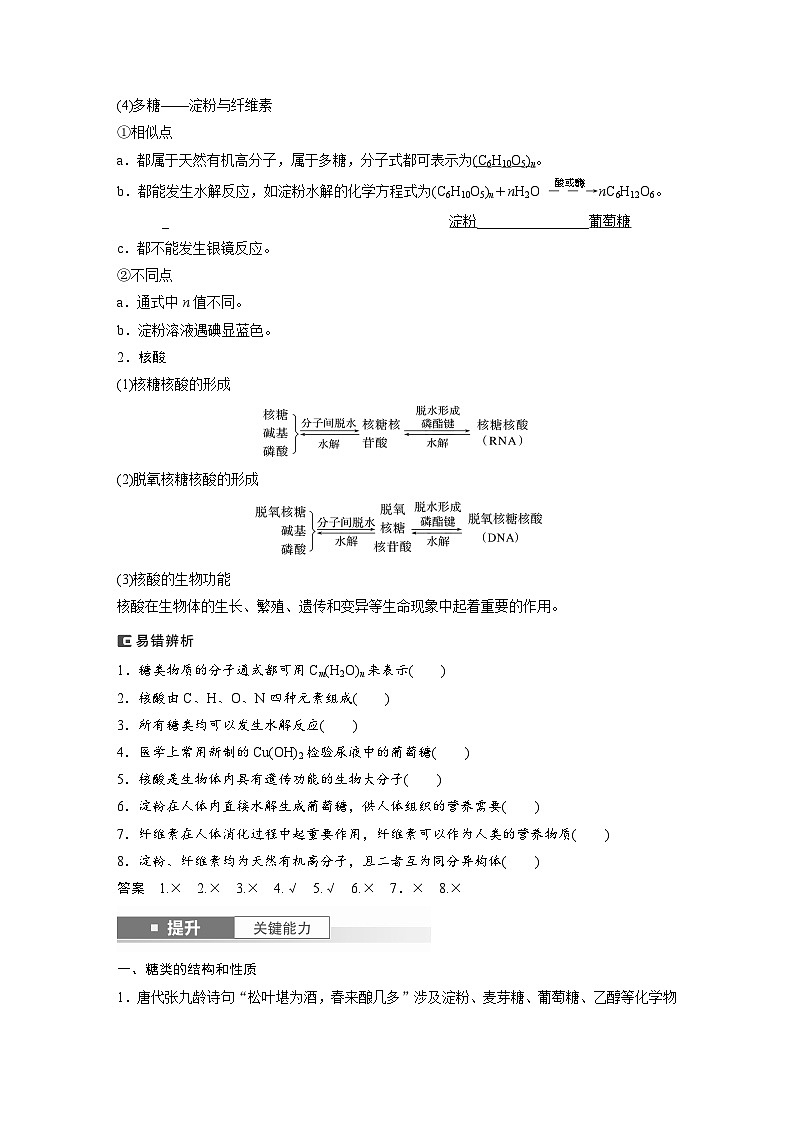 2025年高考化学大一轮大单元五　第十四章　第66讲　生物大分子　合成高分子（课件+讲义+练习）03