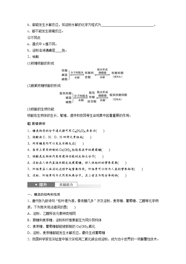 2025年高考化学大一轮大单元五　第十四章　第66讲　生物大分子　合成高分子（课件+讲义+练习）03
