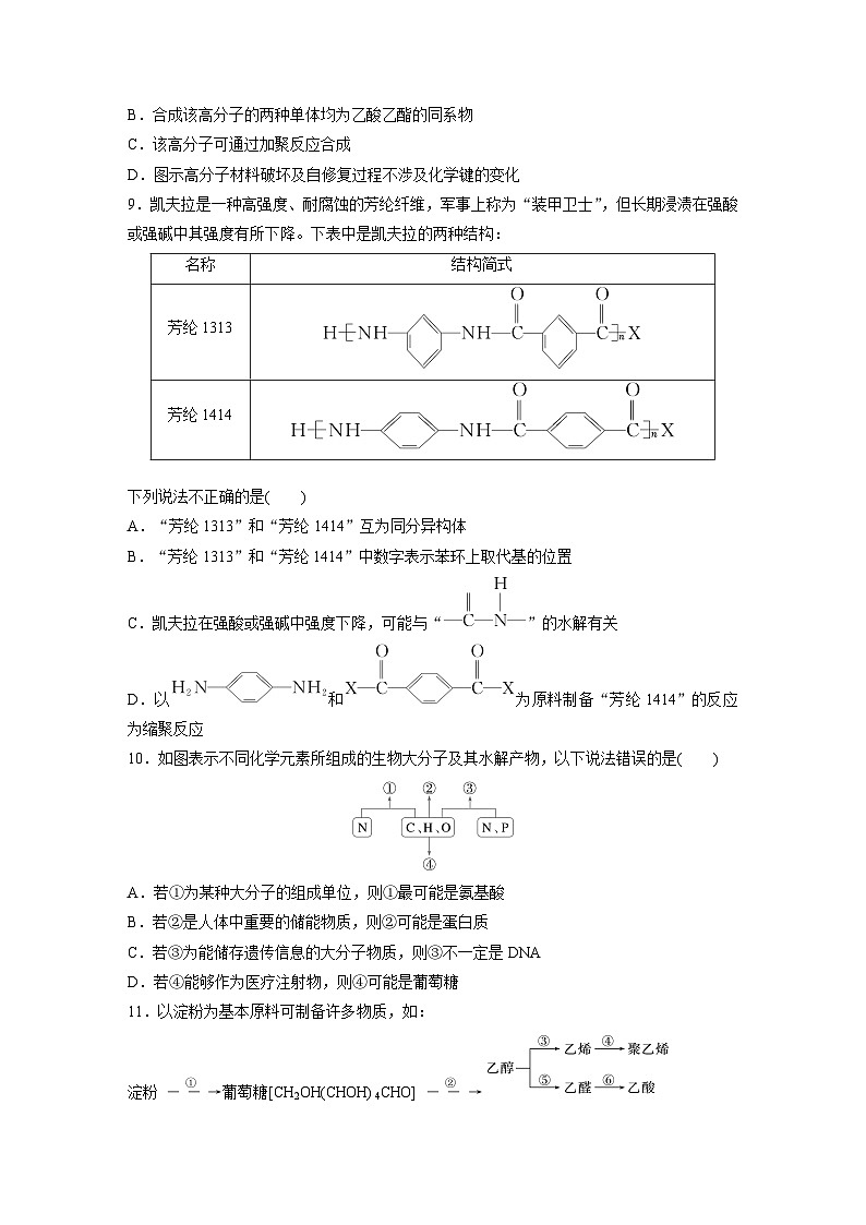 2025年高考化学大一轮大单元五　第十四章　第66讲　生物大分子　合成高分子（课件+讲义+练习）03