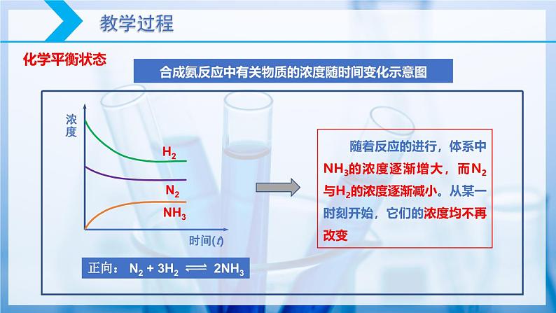 【核心素养目标】人教版 化学选择性必修一 2.2 化学平衡（第1课时 化学平衡状态）课件05