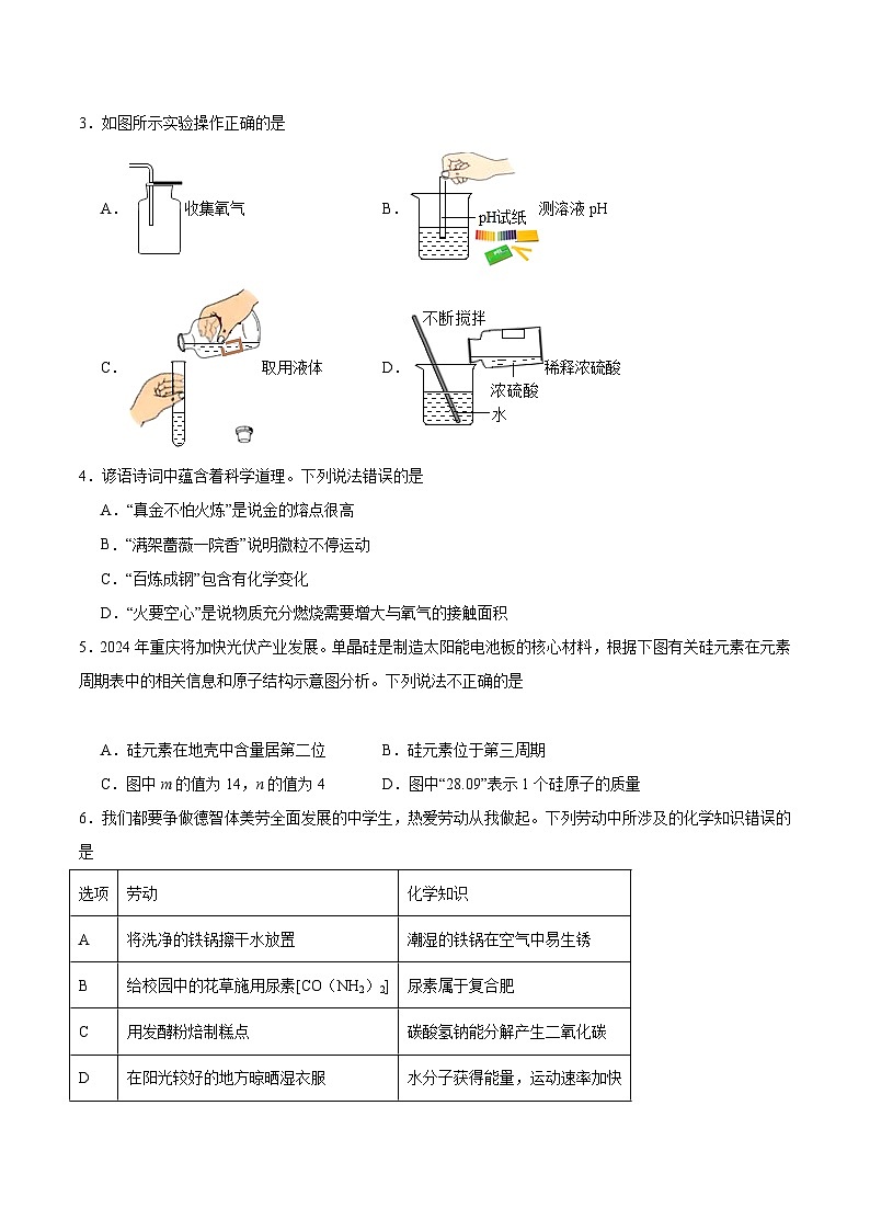 【开学考】2024年秋季高一上学期入学分班考试模拟卷化学（福建专用）02