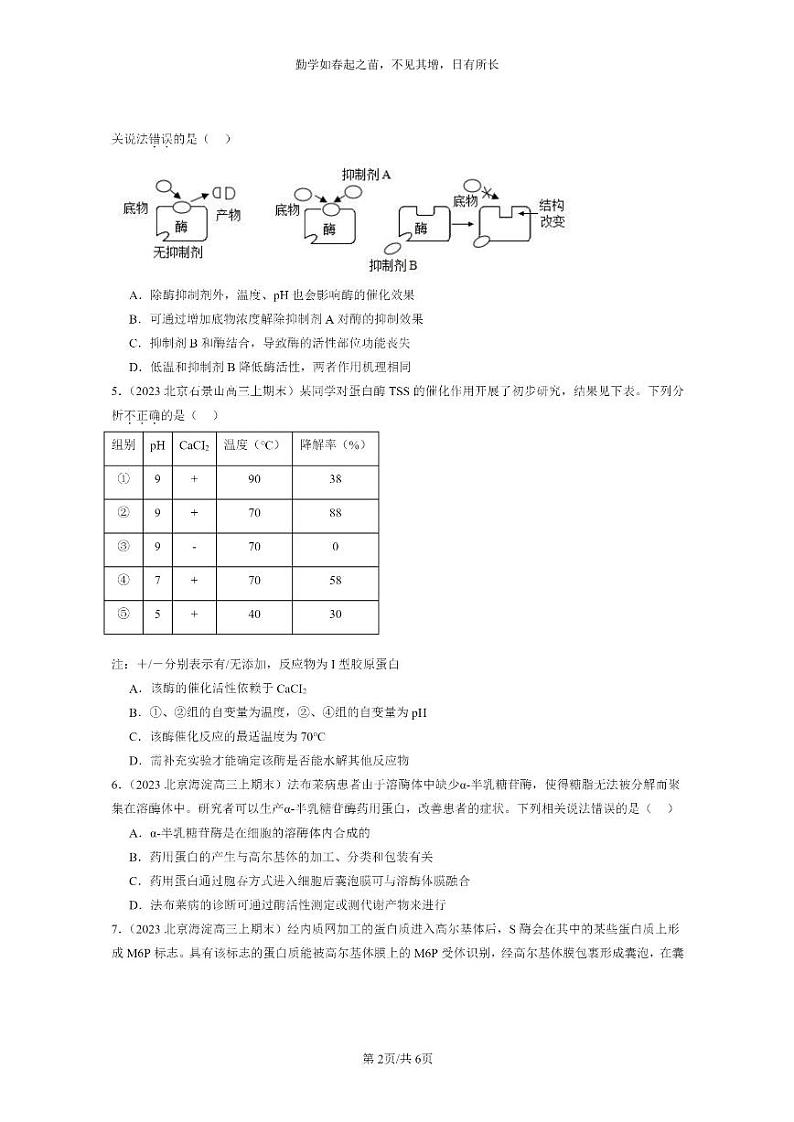 [生物]2022～2024北京高三上学期期末生物真题分类汇编：降低化学反应活化能的酶第2页