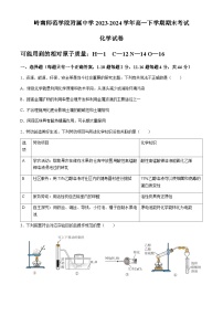 广东省湛江市岭南师范学院附属中学2023-2024学年高一下学期期末考试化学试题（含答案）