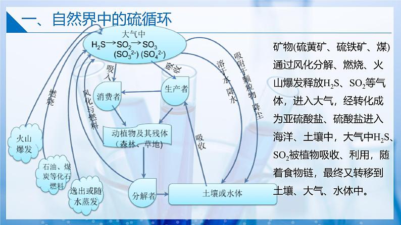 【苏教版】化学必修一  4.3 防治二氧化硫对环境的污染（课件+分层练习+视频）04