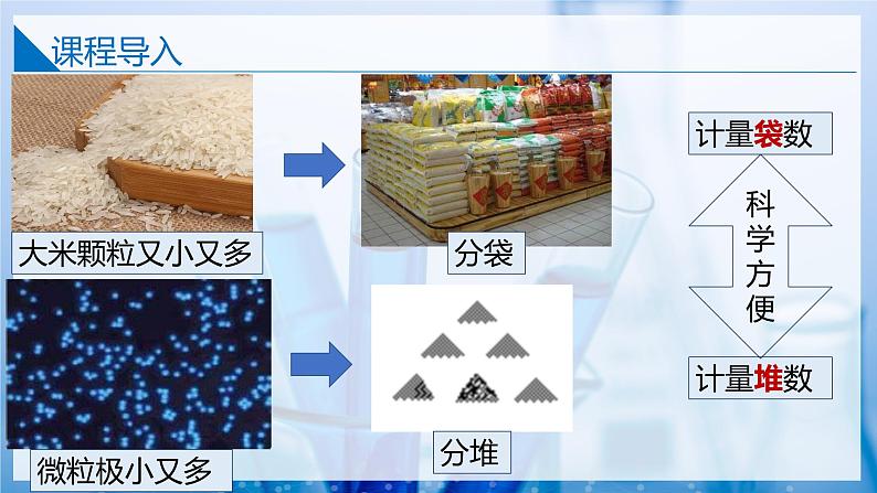 1.2.1物质的量（同步课件）第3页