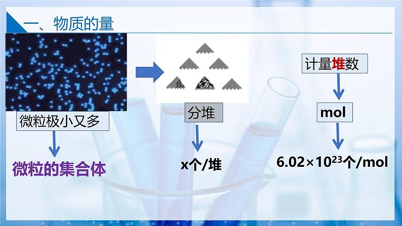 1.2.1物质的量（同步课件）第4页