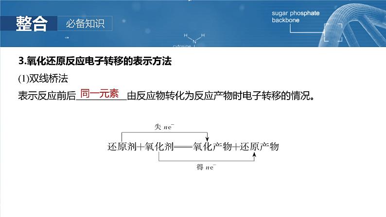 大单元一 第一章 第3讲 氧化还原反应的概念和规律-2025年高考化学大一轮复习（人教版）【配套PPT课件】06