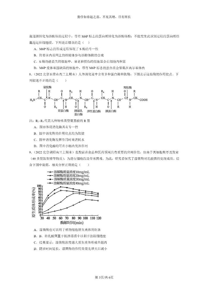 [生物]2022～2024北京高三上学期期末生物真题分类汇编：降低化学反应活化能的酶第3页