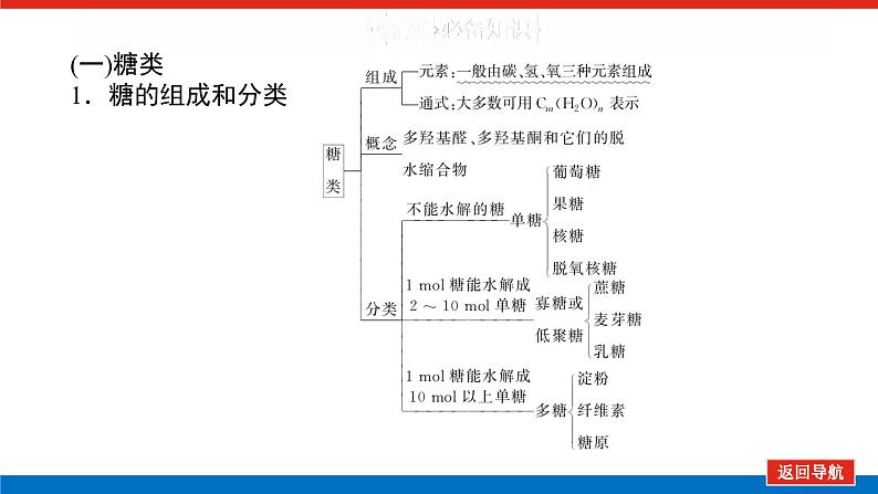 2025届高中化学全程复习构想课件全套62油脂　生物大分子05