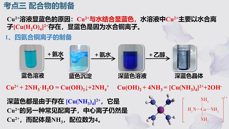 2025届高三化学人教版新高考一轮复习 配合物 课件05